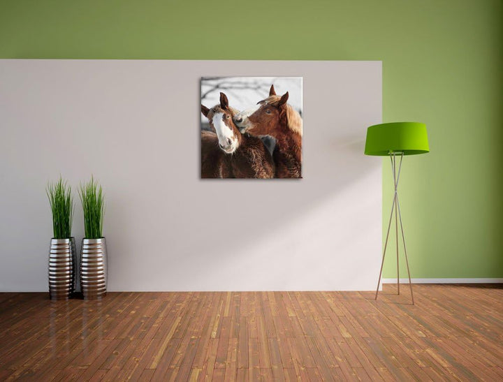 Pixxprint Zwei braune Ponys als Leinwandbild/Grösse: 70x70 cm/Wandbild/Kunstdruck/fertig bespannt, 7
