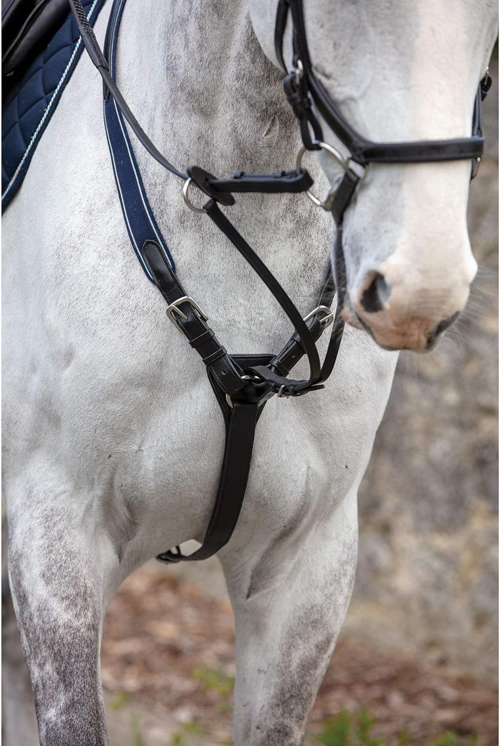 RAMBO Micklem Vorderzeug aus Leder, Schwarz Pony, Pony