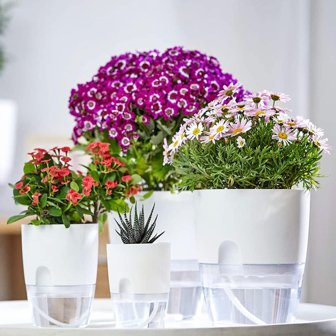 iDattel Kräutertopf Küche Set Fensterbank selbstbewässernd-6er Set Kräutergarten für die Küche,23.5/