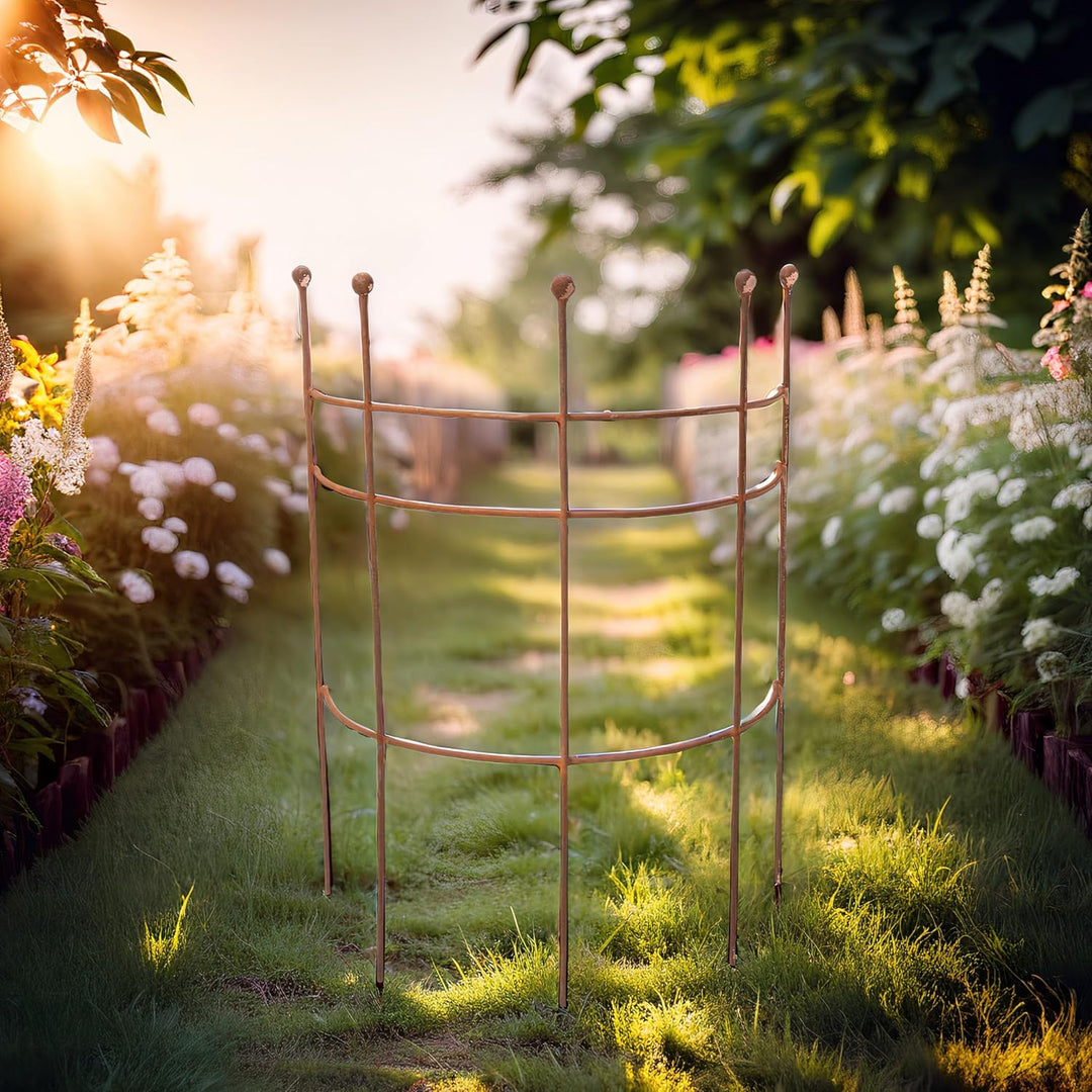 ecosoul Staudenhalter Strauchhalter Staudenstütze Rankgerüst halbrund braun Rost Rankhilfe Metall Ei
