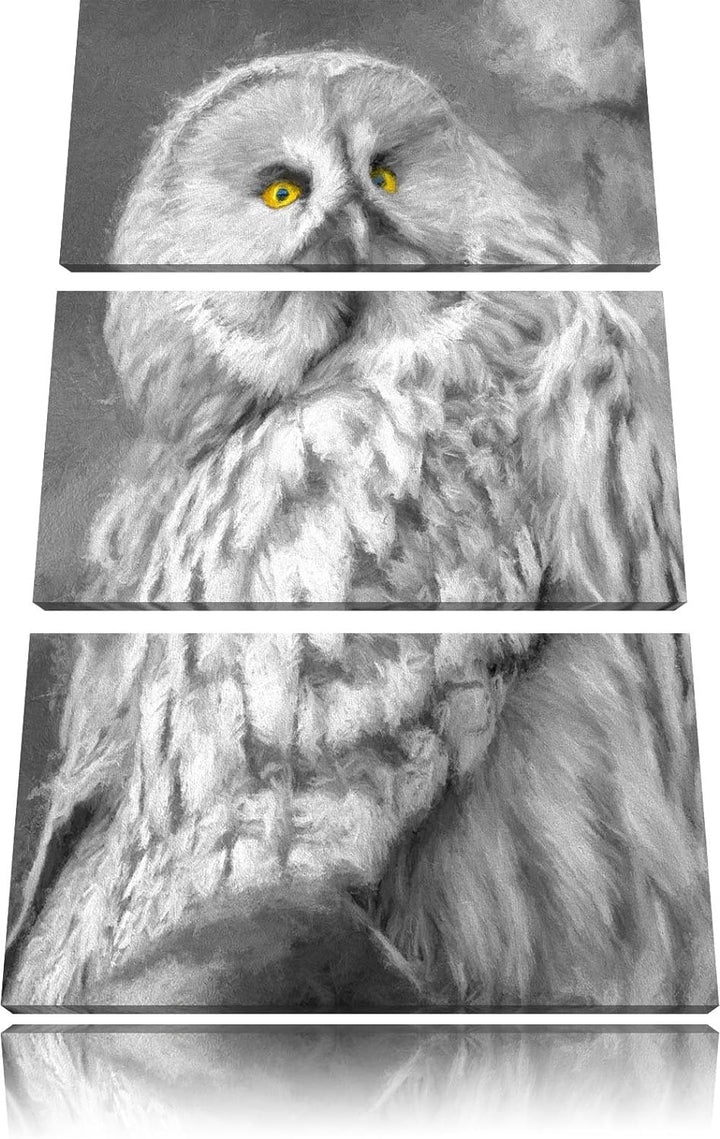 grosse anmutige Eule auf Ast schwarz/weiss Deluxe 3-Teiler Leinwandbild 120x80 Bild auf Leinwand, XX