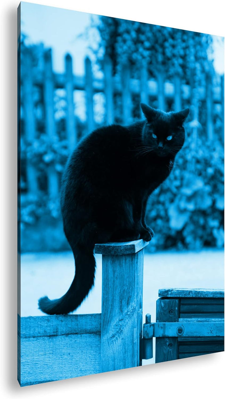 deyoli thronende Schwarze Katze Format 100x70 Effekt: Monocrome Blau als Leinwandbild, Motiv fertig