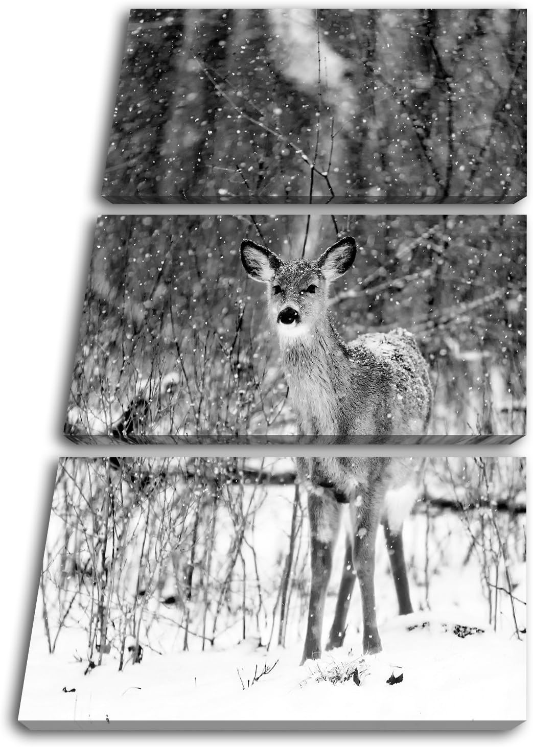 deyoli niedliches REH im Schnee Format: 3-teilig 120x80 Effekt: Schwarz/Weiss als Leinwand, Motiv fe