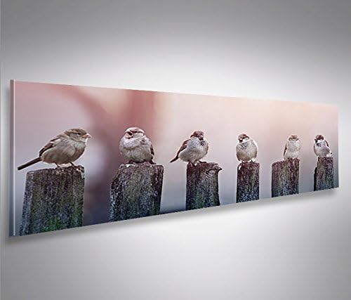 islandburner Bild Bilder auf Leinwand Birds Vögel Spatz auf Holzsteg Panorama XXL Poster Leinwandbil