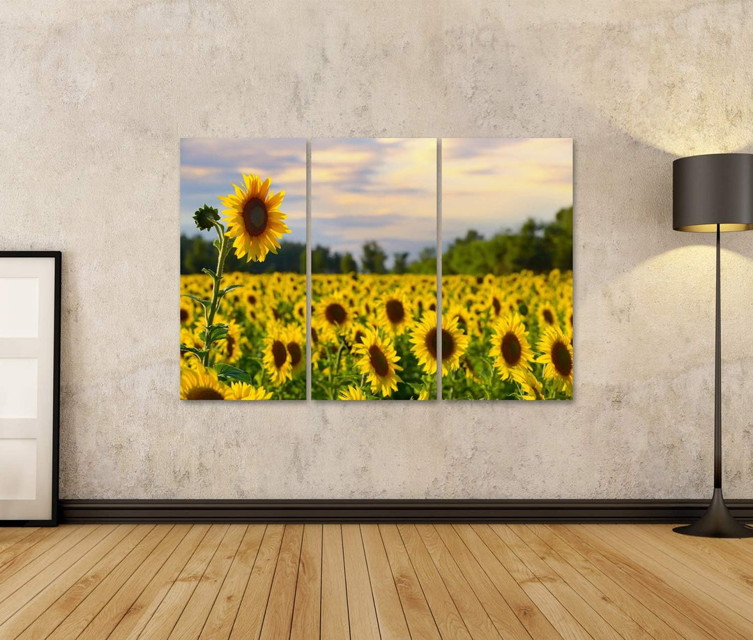 islandburner Bild auf Leinwand Eine Hohe Sonnenblume Mit Sonnenblumenfeld Und Schöner Abendhimmel Au