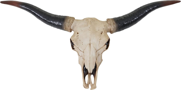 Mendler Deko Schädel 75cm HWC-A14, Polyresin Stier Bulle Longhorn Kopf Trophäe, In-/Outdoor Natur