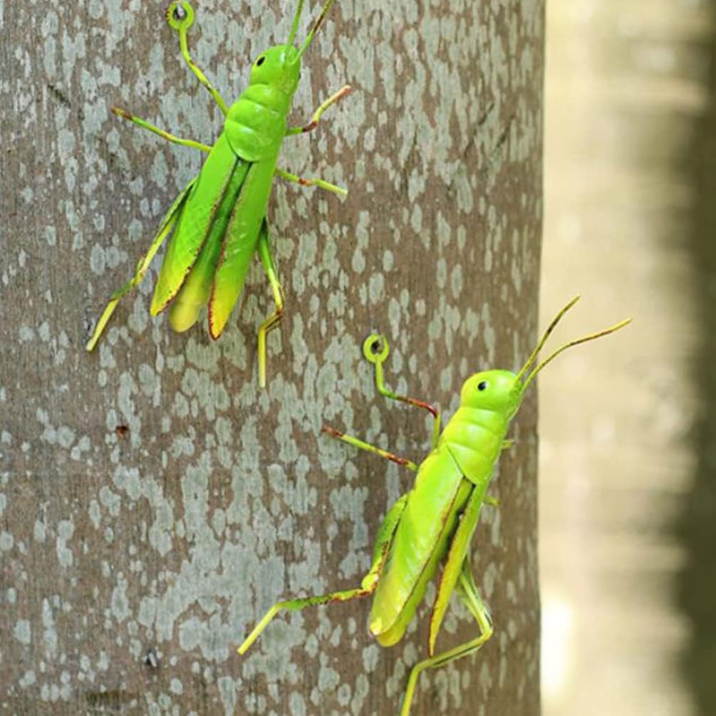 Grashüpfer Heuschrecke Figur Gartenfiguren Dekofigur: 2 Stücke Eisen Insekten Metall Gartendeko Tier