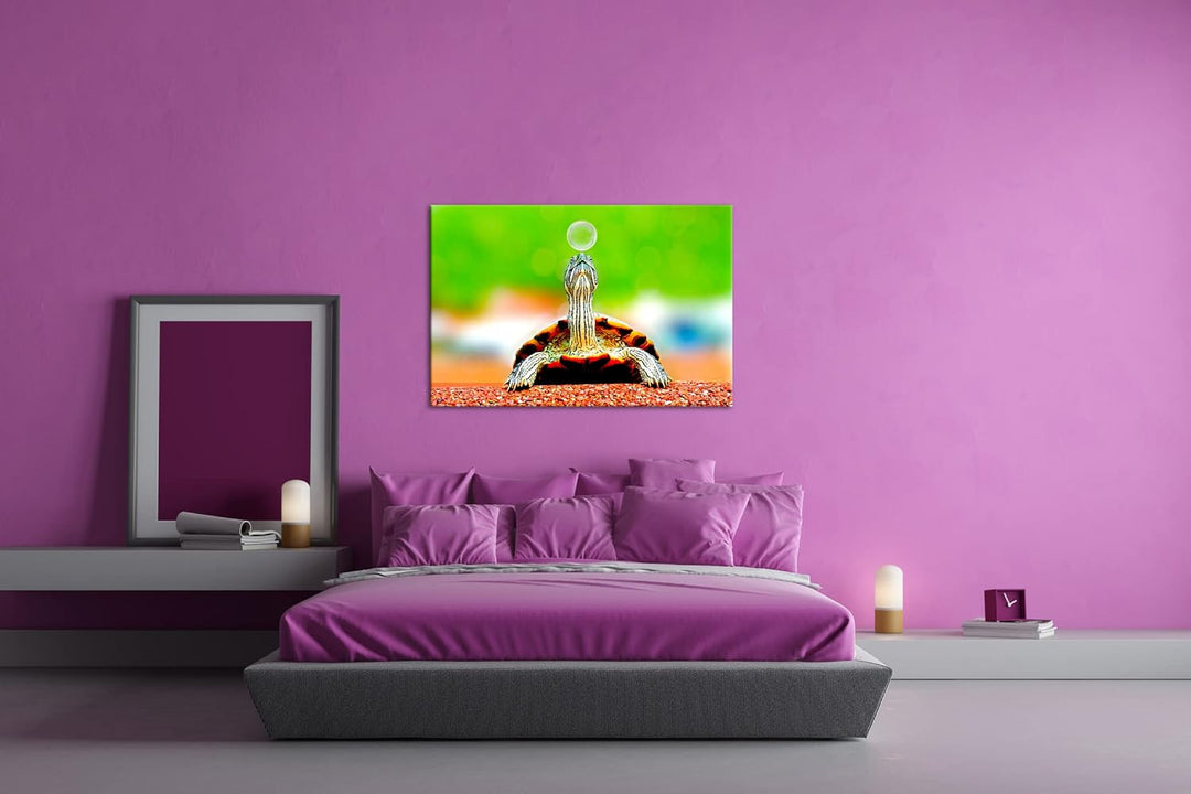 deyoli lustige Schildkröte spielt mit einer Seifenblase Format: 60x40 als Leinwand, Motiv fertig ger