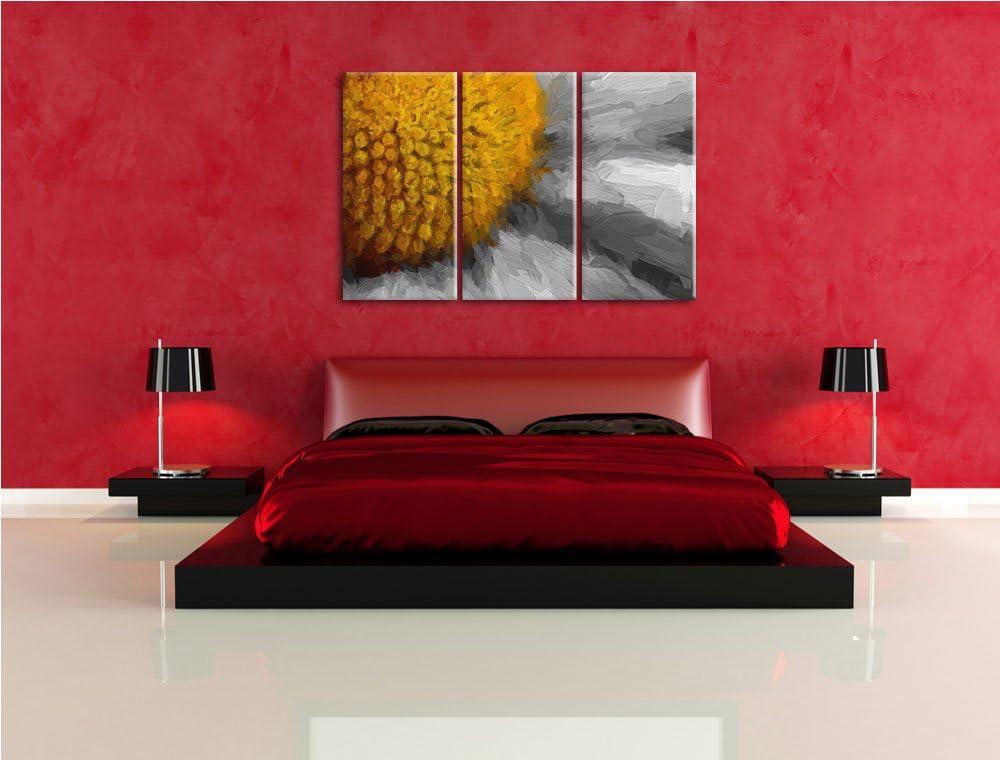 prächtige kleine Margerite schwarz/weiss Spezial 3-Teiler Leinwandbild 120x80 Bild auf Leinwand, XXL