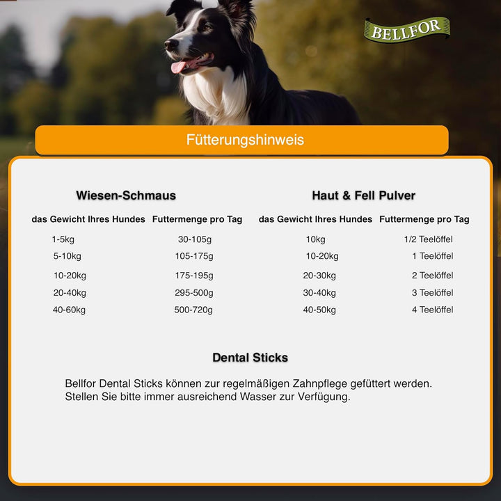Bellfor Futterset für Deutsch Kurzhaar Getreidefreies Trockenfutter mit Huhn 4 kg Dental Sticks 100