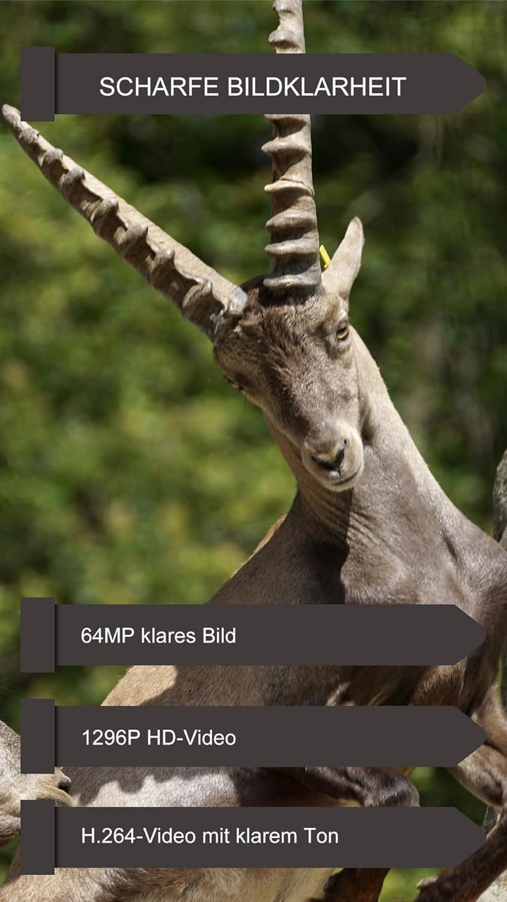 GardePro E6P Max Wildkamera WLAN, Wiederaufladbare 8000mAh Batterie, integrierte SD Karte, 64MP 1296