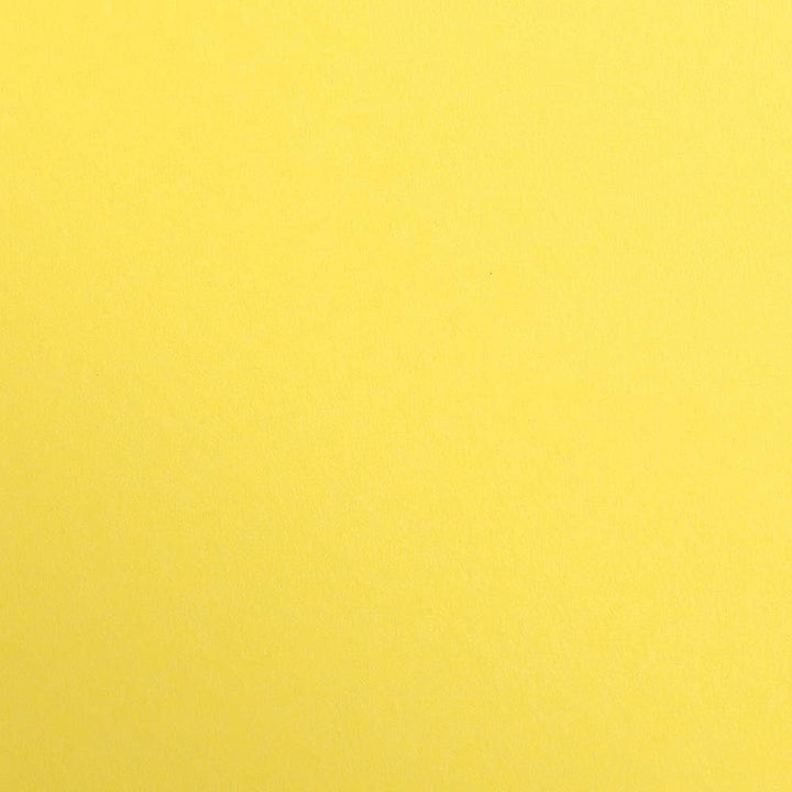 Clairefontaine 97954C Packung (mit 25 Bögen Zeichenpapier Maya, DIN A1, 59,4 x 84 cm, 270g, glatt, i