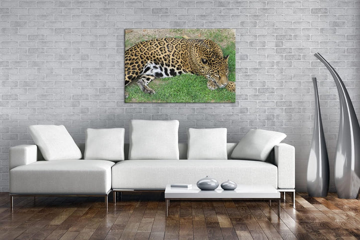deyoli ruhig liegender Leopard Format: 100x70 als Leinwand, Motiv fertig gerahmt auf Echtholzrahmen,