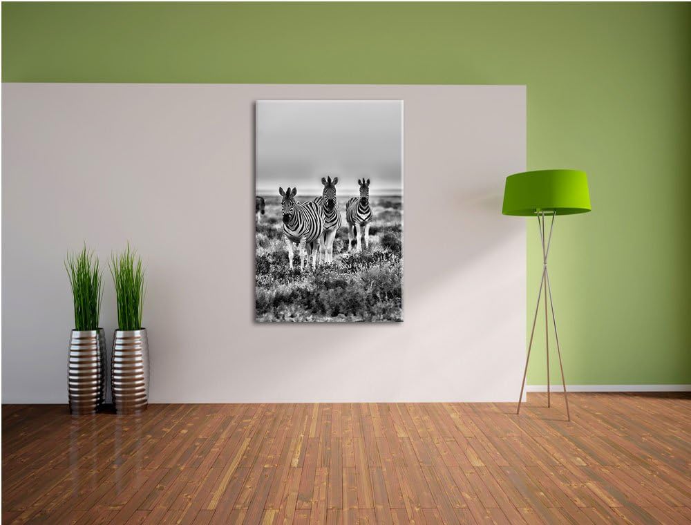 Pixxprint Zebras in Savanne als Leinwandbild/Grösse: 100x70 cm/Wandbild/Kunstdruck/fertig bespannt,