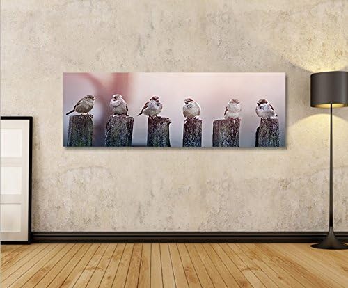 islandburner Bild Bilder auf Leinwand Birds Vögel Spatz auf Holzsteg Panorama XXL Poster Leinwandbil