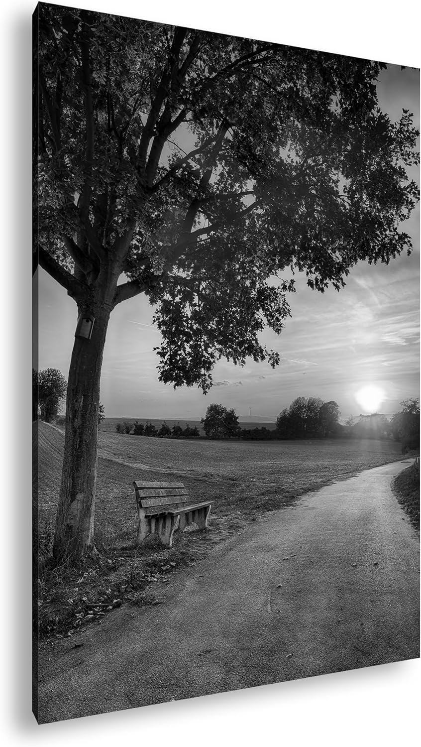 deyoli Spazierweg am Abend Format: 60x40 Effekt: Monocrome Blau als Leinwand, Motiv fertig gerahmt a