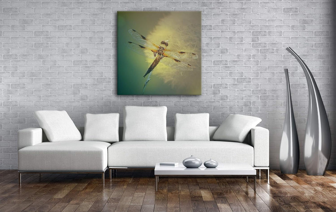 deyoli stolze Libelle Format: 60x60 als Leinwand, Motiv fertig gerahmt auf Echtholzrahmen, Hochwerti