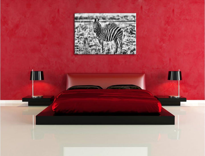 Pixxprint Zebra im Wildgras / 100x70cm Leinwandbild bespannt auf Holzrahmen/Wandbild Kunstdruck Deko