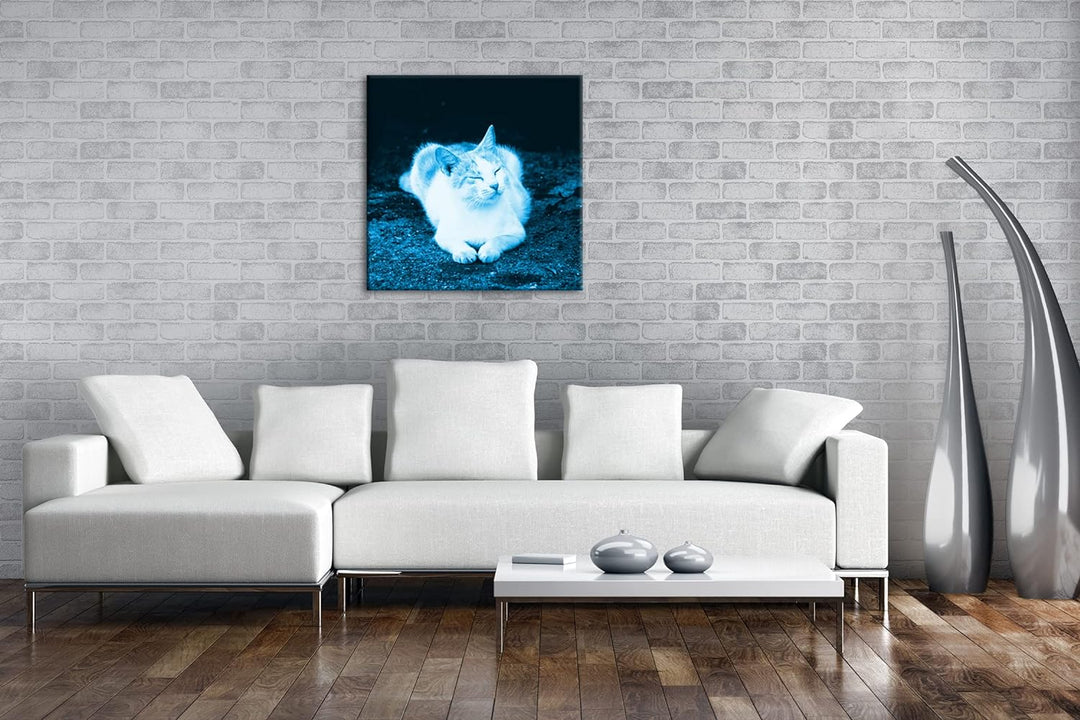 deyoli schläfrige Katze Format: 60x60 Effekt: Monocrome Blau als Leinwandbild, Motiv fertig gerahmt