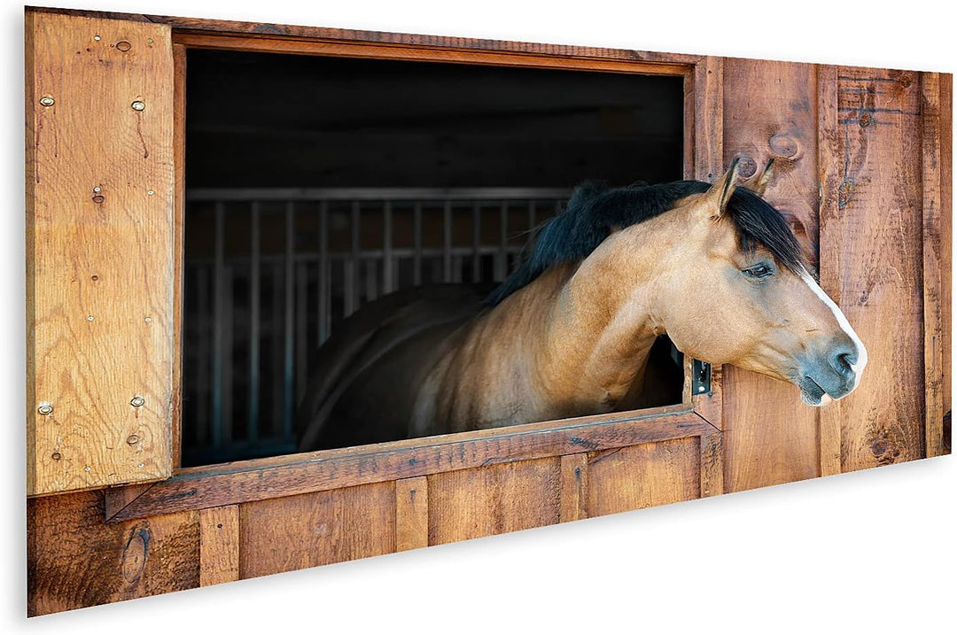 islandburner Bild auf Leinwand Braunes Pferd Schaut Neugierig Aus Fenster Kinderzimmer Bilder Wandbi