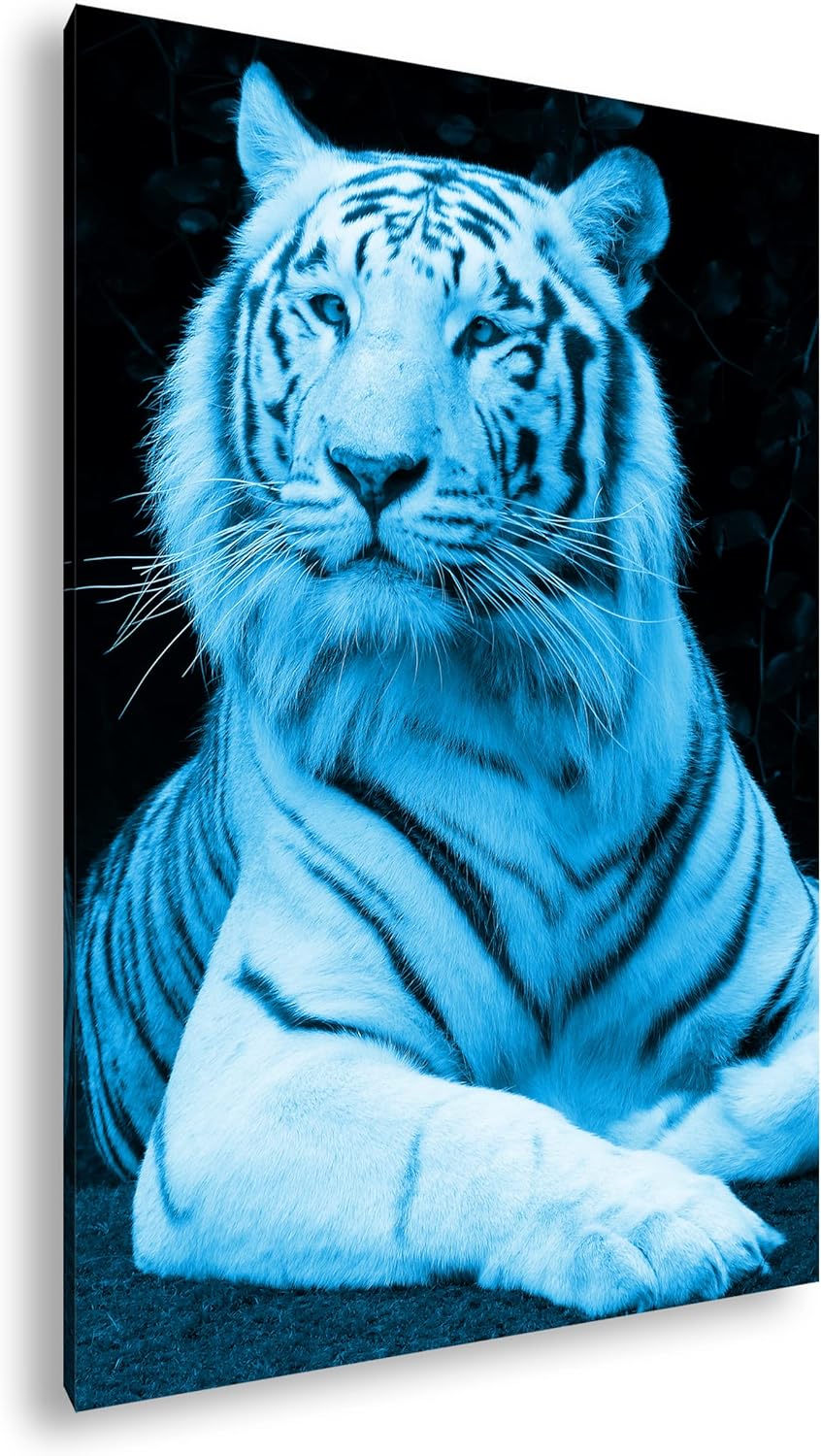 deyoli majestätischer Tiger Format 80x60 Effekt: Monocrome Blau als Leinwandbild, Motiv fertig gerah