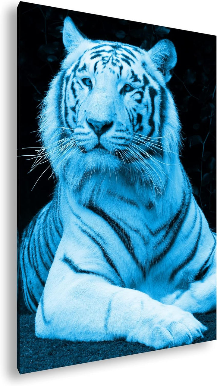 deyoli majestätischer Tiger Format 80x60 Effekt: Monocrome Blau als Leinwandbild, Motiv fertig gerah