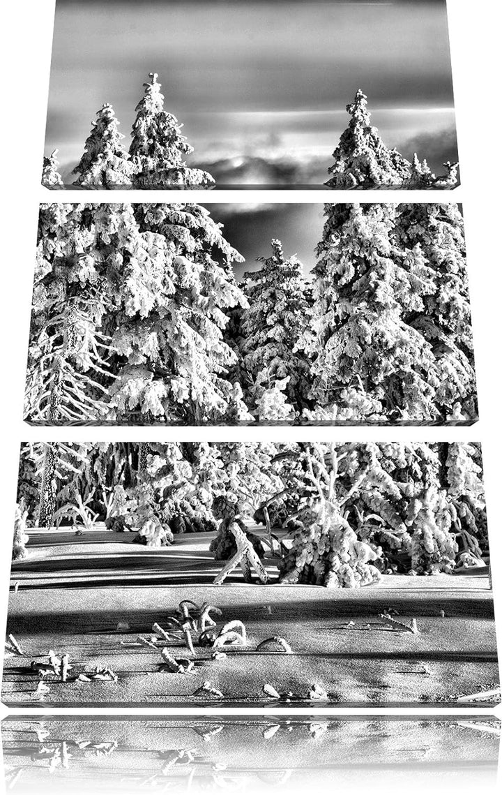 Pixxprint Winterwald als Leinwandbild/Grösse: 3 Teilig (120x80) cm/Wandbild/Kunstdruck/fertig bespan