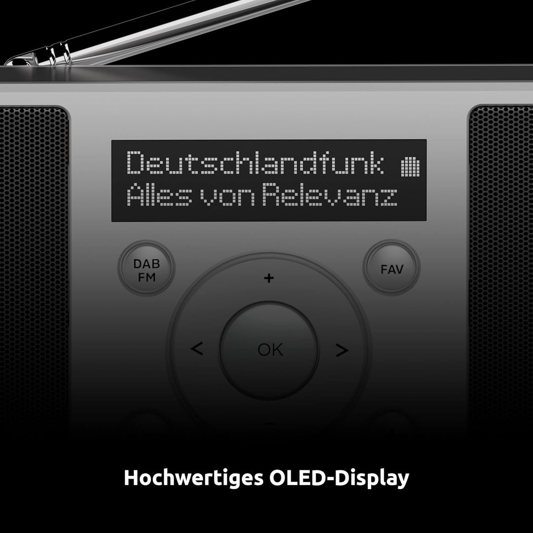 TechniSat DIGITRADIO 1 S - tragbares Stereo DAB Radio mit Akku (DAB+, UKW, FM, Lautsprecher, Kopfhör
