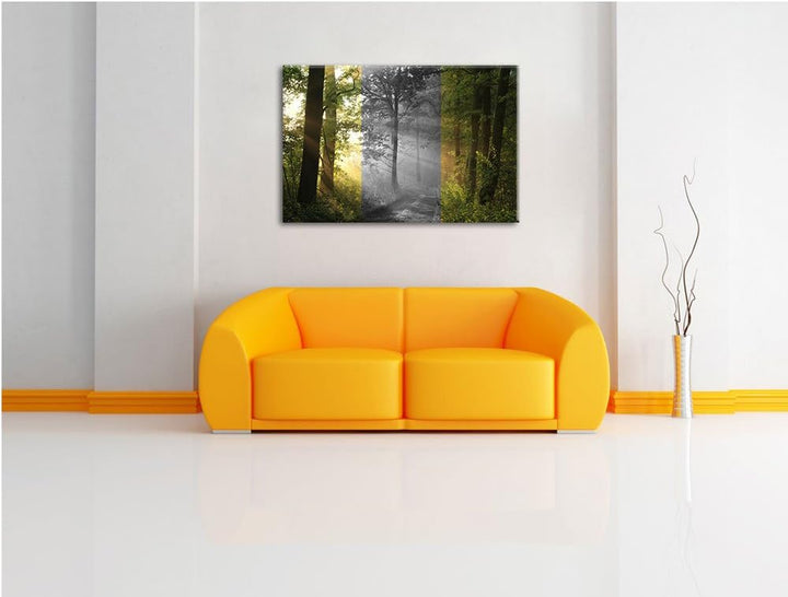 Ruhiger Waldweg im Grünen schwarz/weiss Format: 100x70 auf Leinwand, XXL riesige Bilder fertig gerah