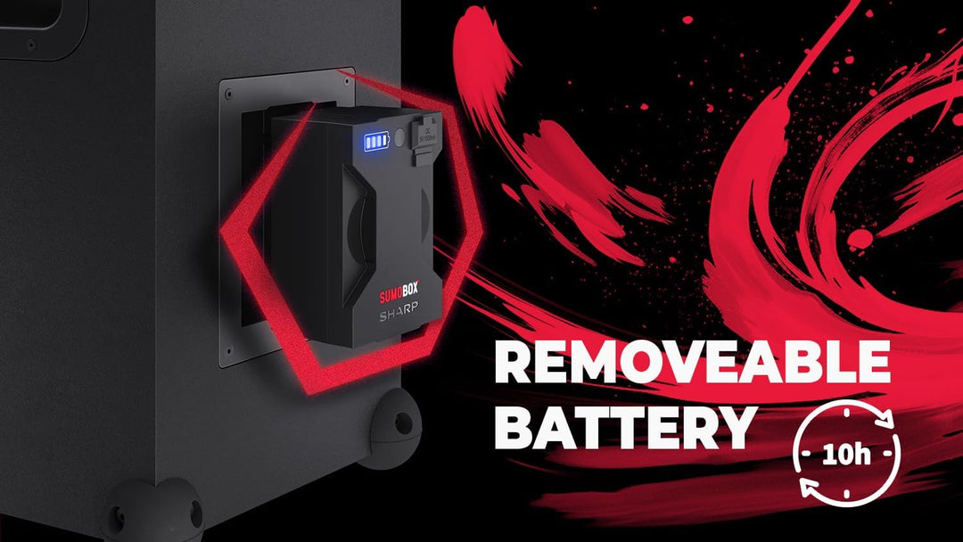 SHARP CP-LS100 SumoBox, Leistungsstarkes 2.0-Kanal-Lautsprechersystem mit 120 W RMS / 105 dB, 10 Std