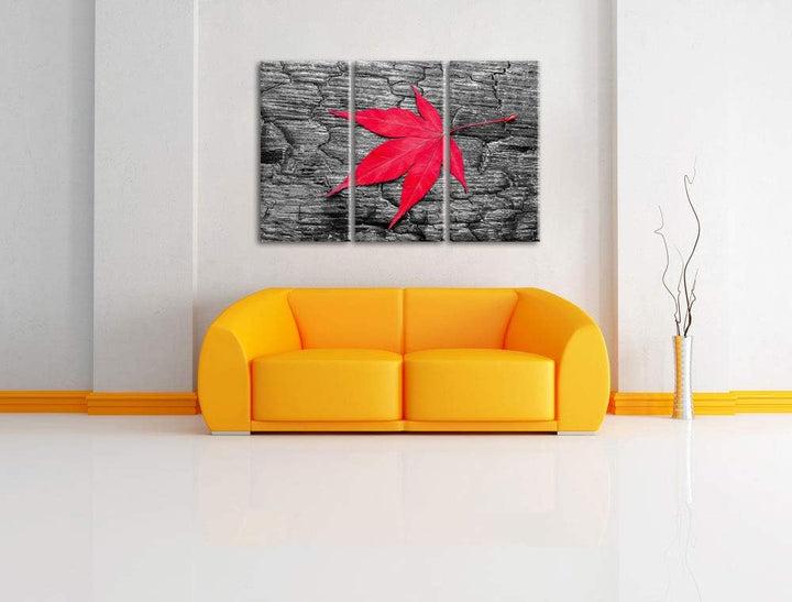 Rotes Ahornblatt im Herbst schwarz/weiss 3-Teiler Leinwandbild 120x80 Bild auf Leinwand, XXL riesige