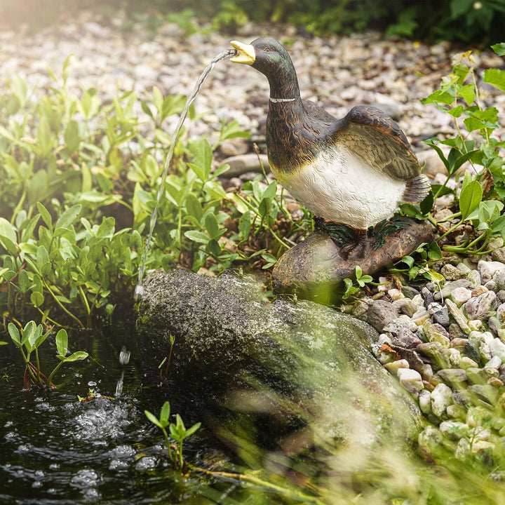 Wasserspeier Figur Ente Lucky Duck aus Kunststein - (L x B x H): ca. 235 x 190 x 315 mm - Schlauchan