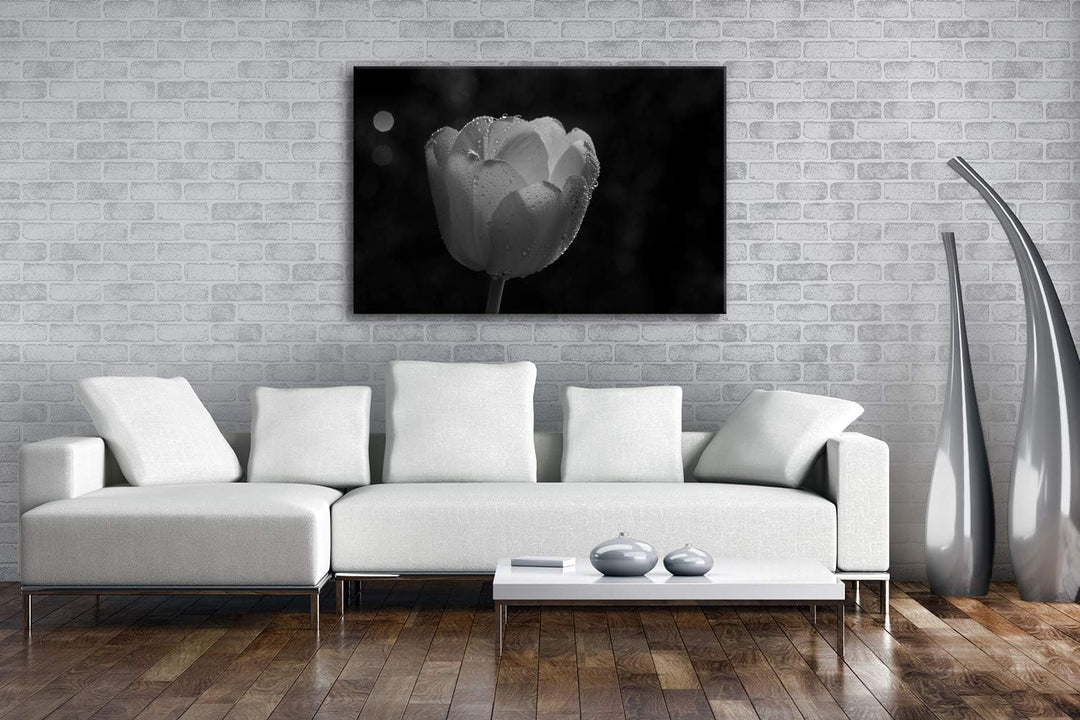 deyoli schneeweisse Tulpe Format: 100x70 Effekt: Schwarz&Weiss als Leinwandbild, Motiv fertig gerahm