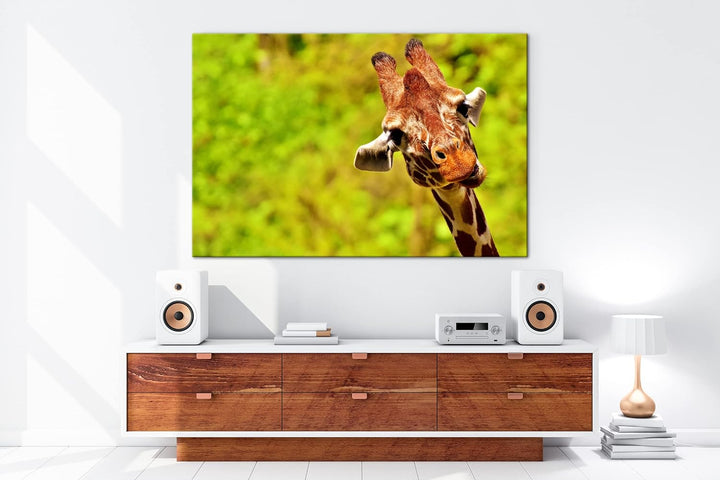 deyoli lustige Giraffe Format: 60x40 cm als Leinwandbild, Motiv fertig gerahmt auf Echtholzrahmen, H