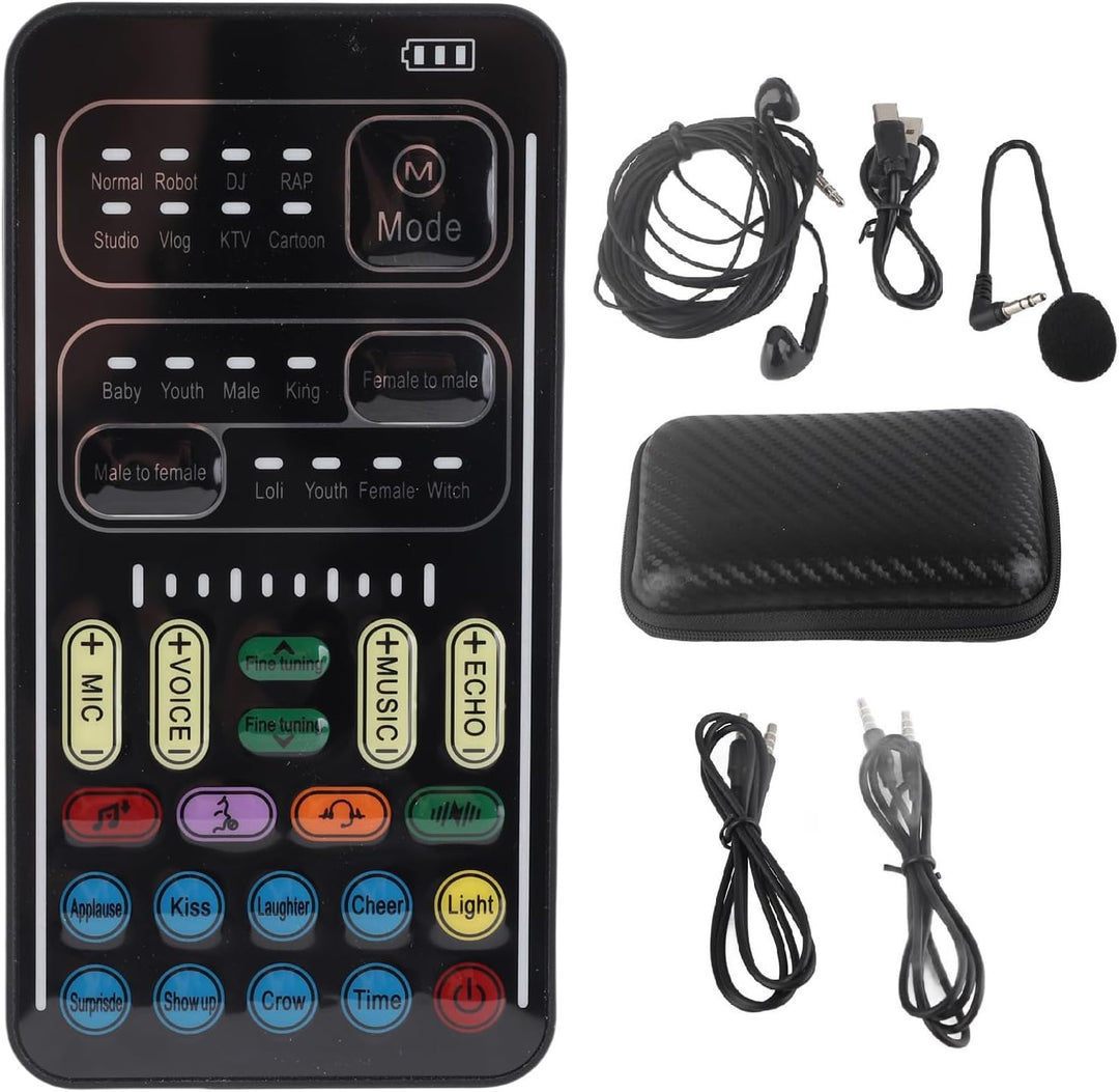 Dpofirs Tragbarer Sprachwechsler, Handheld-Mikrofon-Sprachwechsler mit Sound Multifunktionale Effekt