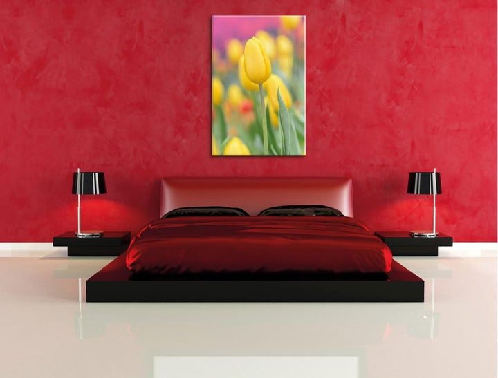 Gelbe Tulpen im Frühling, Format: 100x70 auf Leinwand, XXL riesige Bilder fertig gerahmt mit Keilrah