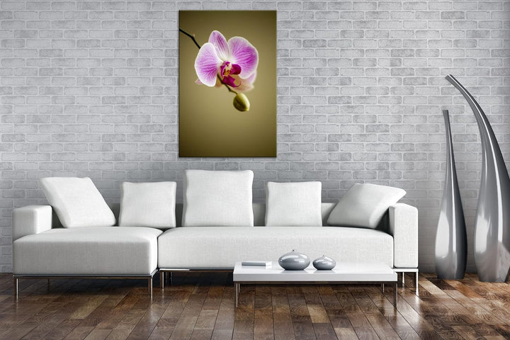 deyoli zauberhafte Orchidee Format: 100x70 als Leinwandbild, Motiv fertig gerahmt auf Echtholzrahmen