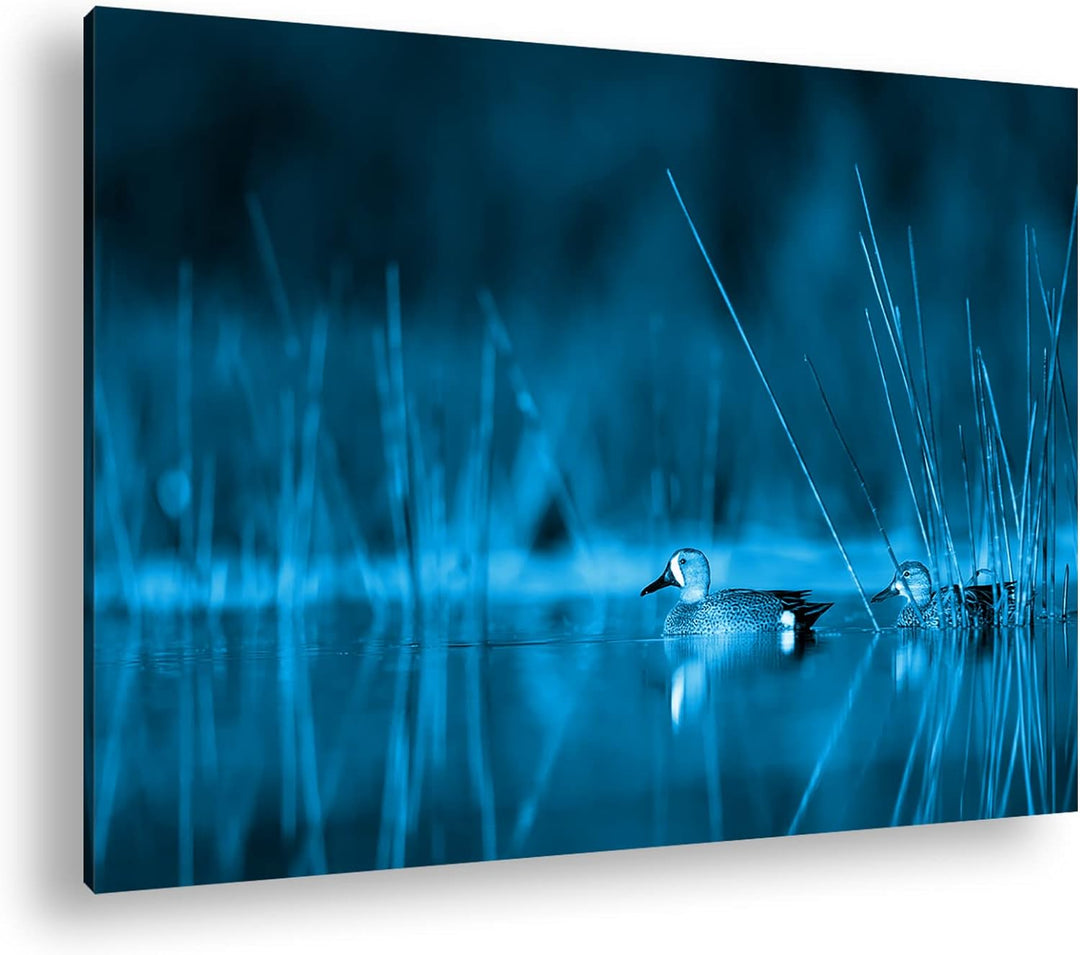 deyoli ruhige Enten auf einem See Format: 100x70 Effekt: Monocrome Blau als Leinwand, Motiv fertig g