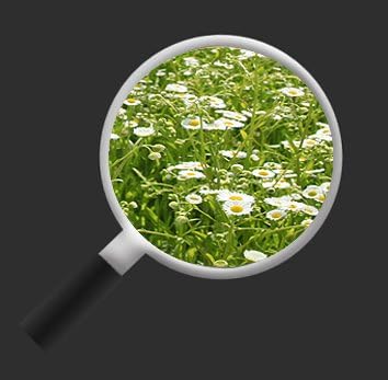 islandburner Bild Bilder auf Leinwand Blumenwiese 1p XXL Poster Leinwandbild Wandbild Art up Your Li