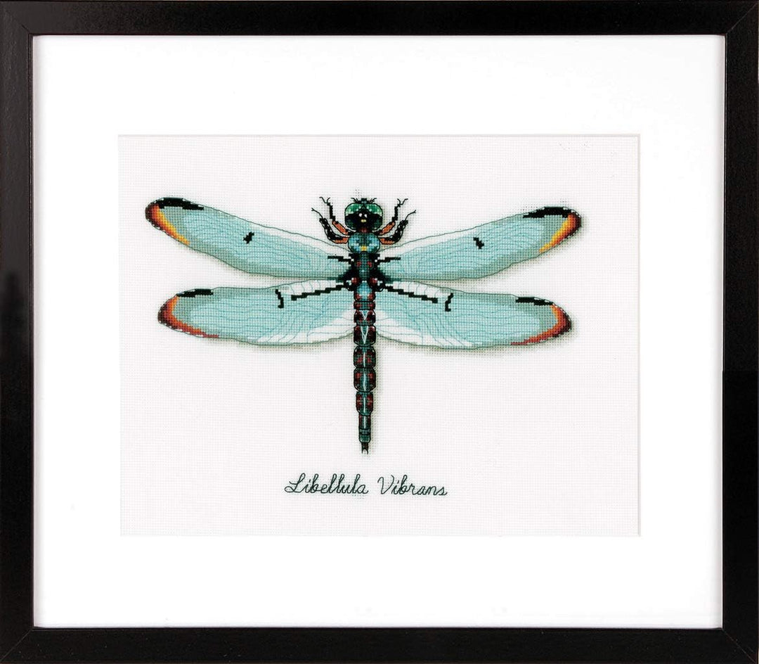 Vervaco Zählmusterpackung Libelle Aida Kreuzstickpackung zum Auszählen, weiss, 27 x 19 x 0,3 cm