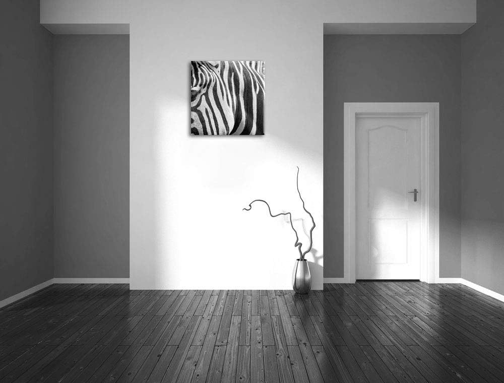 Pixxprint Zebra Porträt, Format: 70x70 auf Leinwand, XXL riesige Bilder fertig gerahmt mit Keilrahme