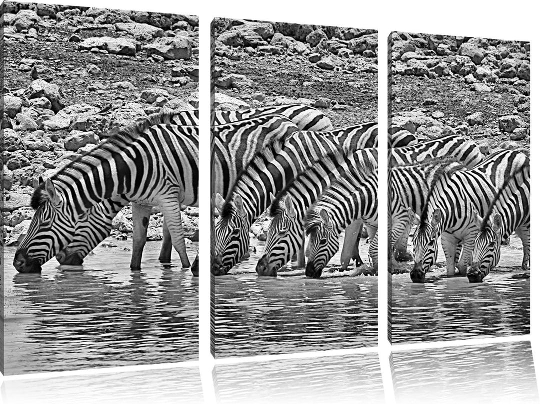 Pixxprint Zebraherde am Wasserloch / 3-Teilig/Gesamtmass 120cm Leinwandbild bespannt auf Holzrahmen/