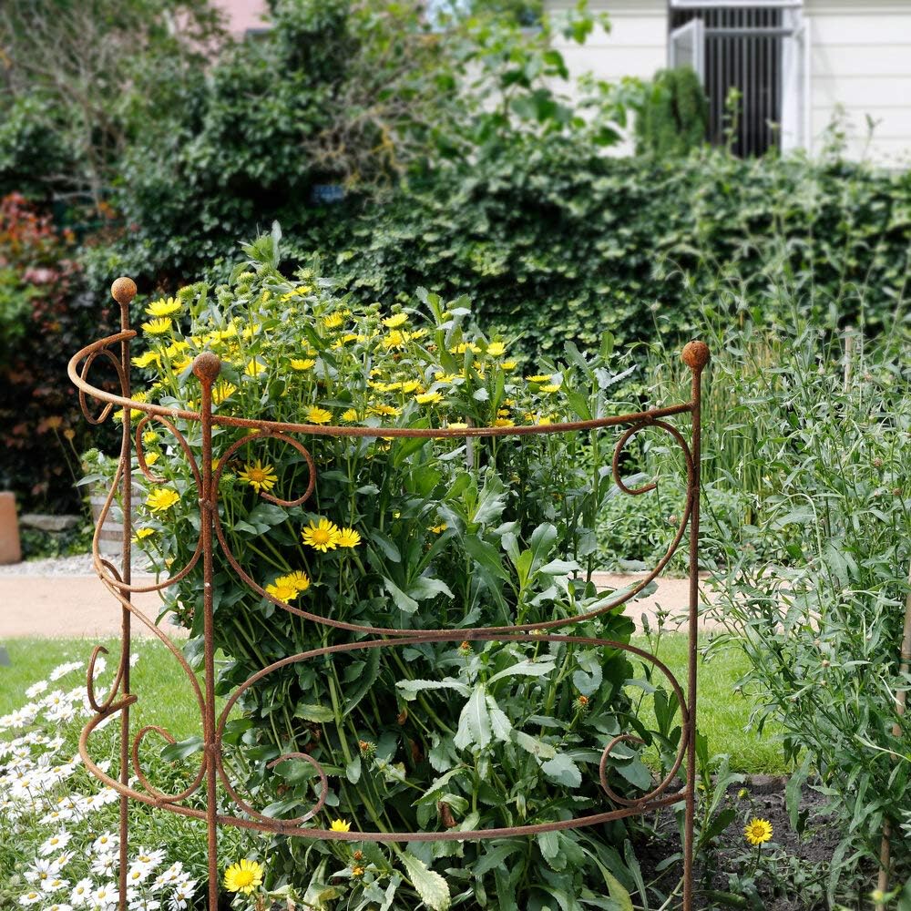 ecosoul Rankgitter Rankhilfe Staudenhalter Strauchhalter halbrund Rankgerüst Metall Eisen Rost Deko