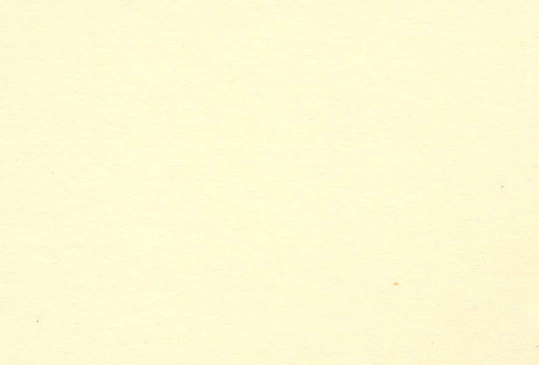 Clairefontaine GMB2/101Z Packung (mit 10 Bögen laminiertem Karton, DIN A2, 42 x 59,4 cm, 1,25 mm, 75