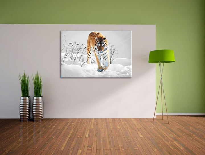 Grosser wilder Tiger im Schnee schwarz/weiss Format: 100x70 auf Leinwand, XXL riesige Bilder fertig
