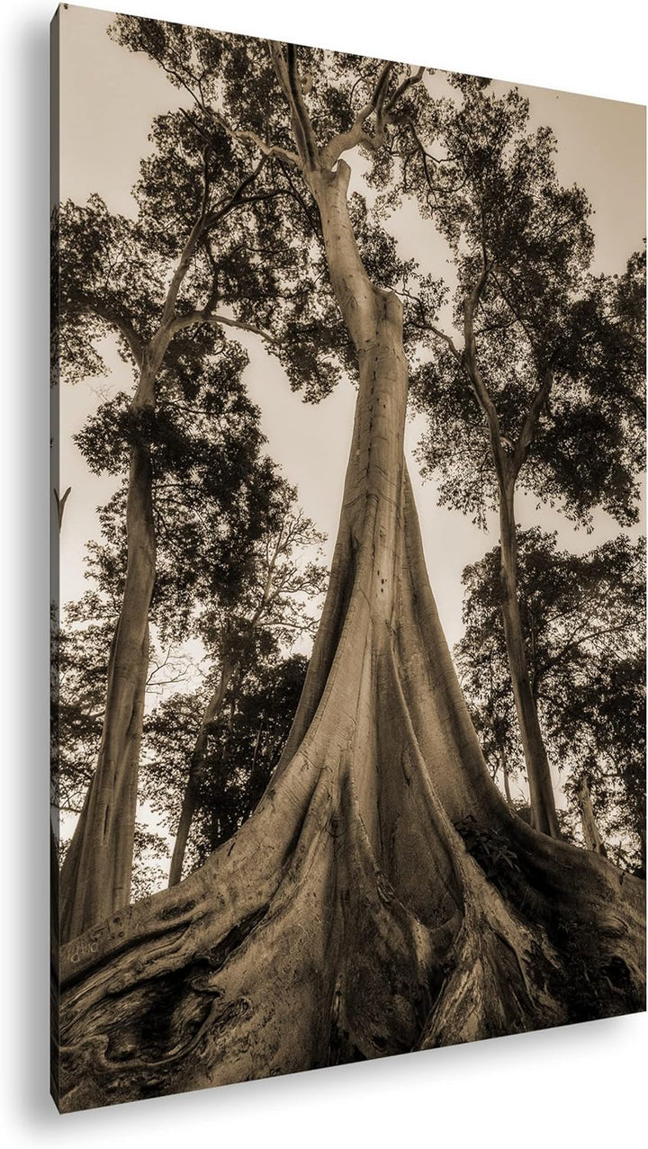 deyoli märchenhafter Baum Format: 100x70 cm Effekt: Sepia als Leinwandbild, Motiv fertig gerahmt auf