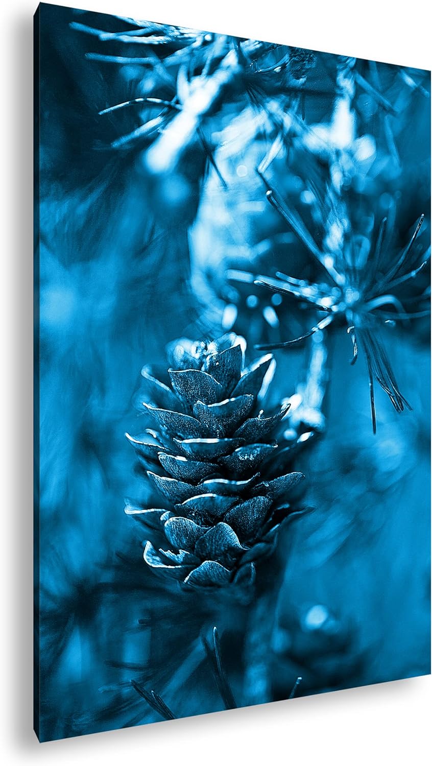 deyoli Tannenzapfen am Ast Format 80x60 Effekt: Monocrome Blau als Leinwandbild, Motiv fertig gerahm