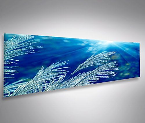 islandburner Bild Bilder auf Leinwand Blaue Blume Panorama XXL Poster Leinwandbild Wandbild Dekoarti