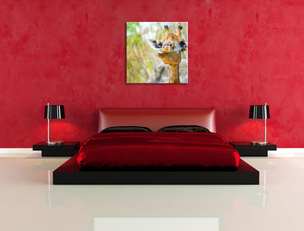 Giraffe in der Natur, Format: 70x70 auf Leinwand, XXL riesige Bilder fertig gerahmt mit Keilrahmen,