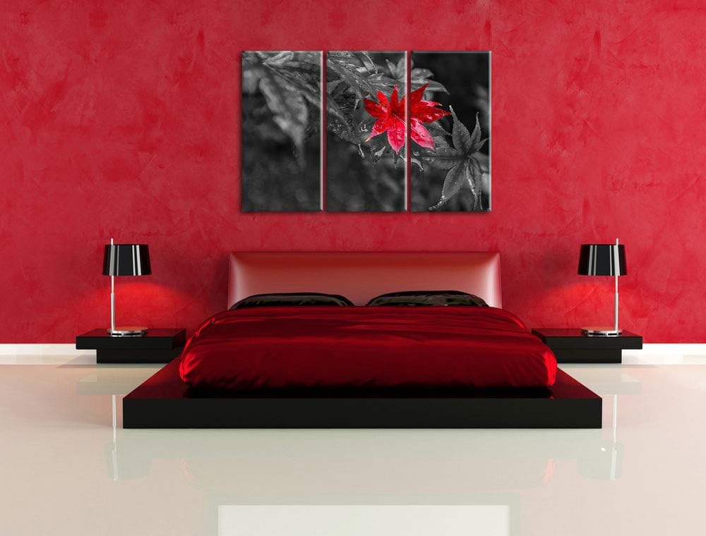Herbstliches rotes Ahornblatt schwarz/weiss 3-Teiler Leinwandbild 120x80 Bild auf Leinwand, XXL ries